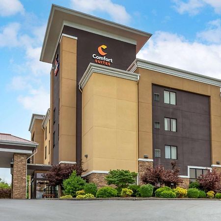 Comfort Suites Kingsport Extérieur photo